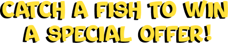 Catch a fish to win a special offer!